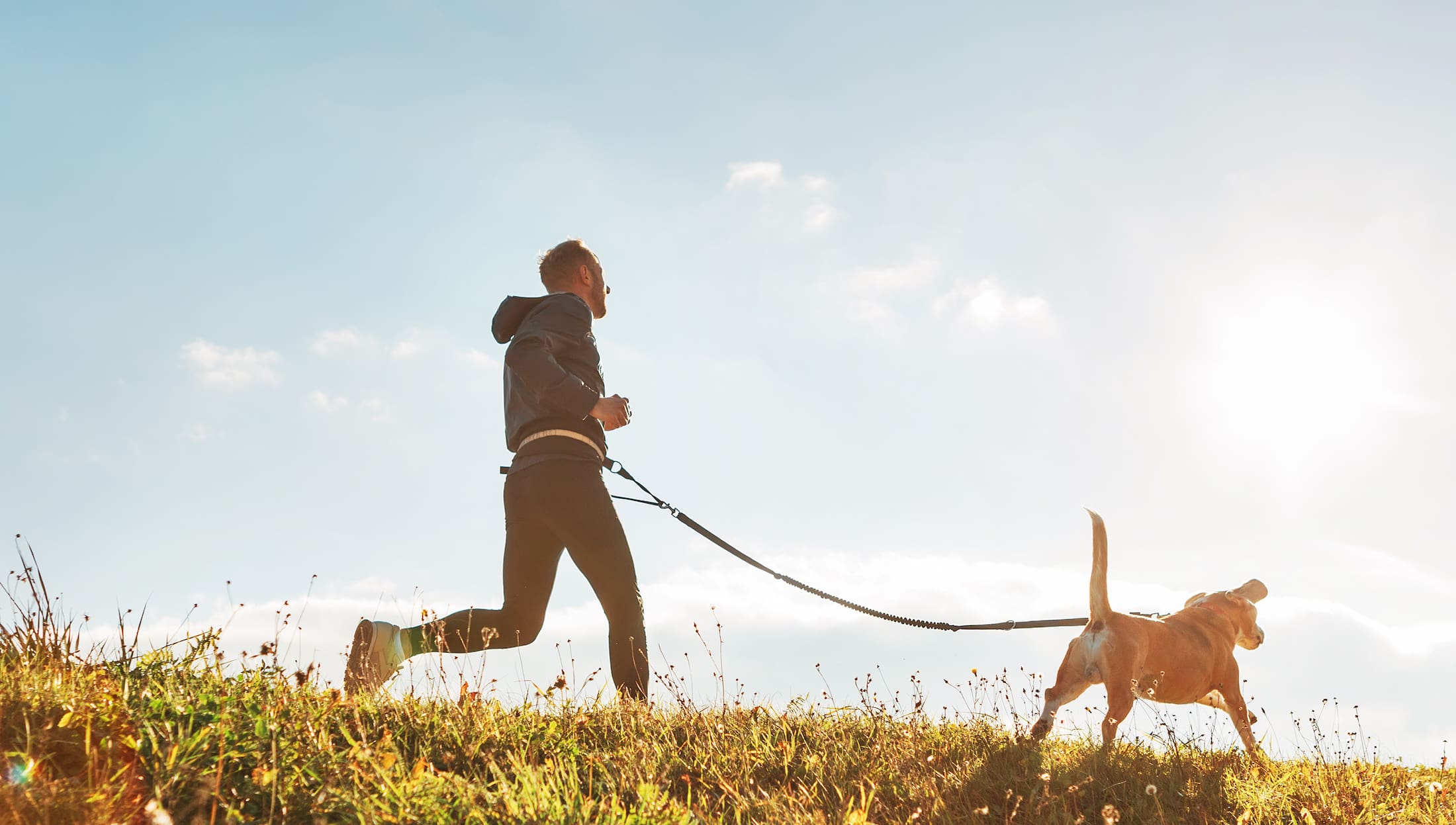 health and wellness coach