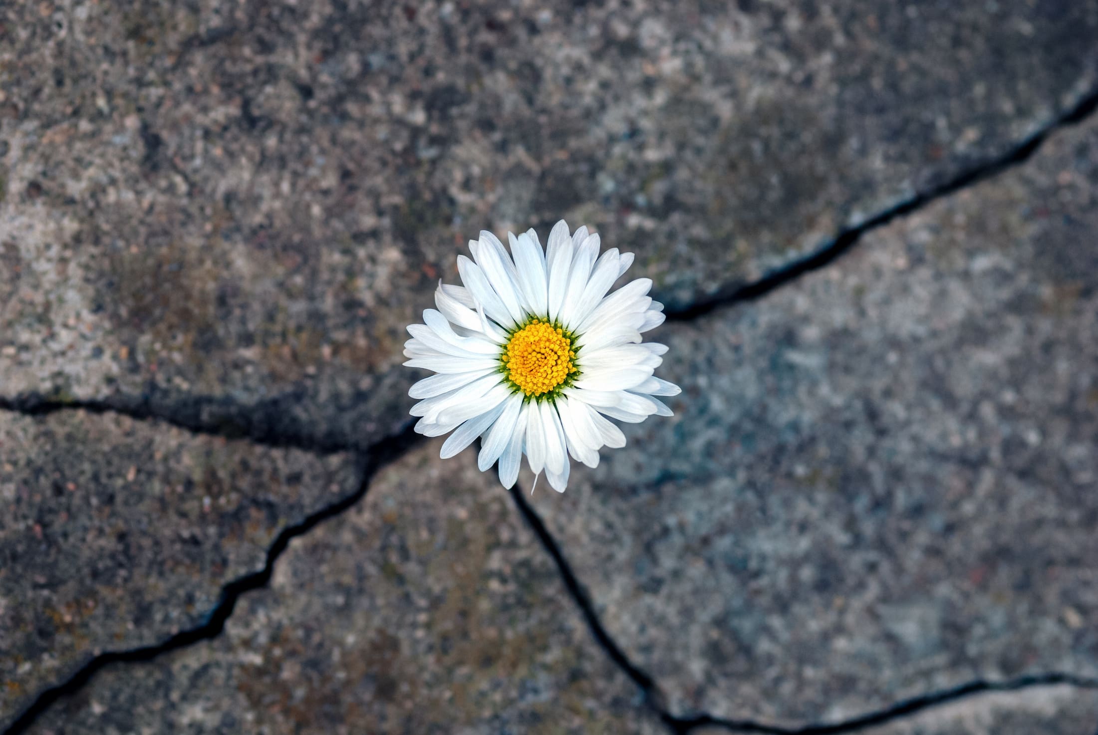 resilience coaching